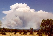 June, 2000 fire in the Pecos Wilderness area of northern New Mexico